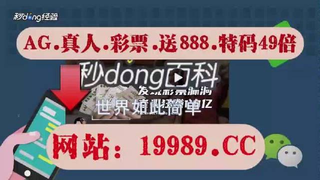 2024年新澳门天天开奖免费查询,极速解答解释落实_GT67.383