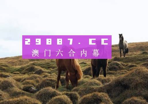 7777788888澳门开奖2023年一,实地执行考察方案_动态版61.316